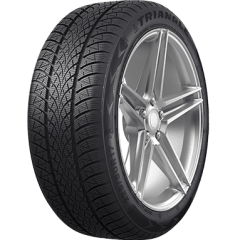 Triangle WinterX TW401 (205/55R19)